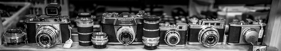 Steel City Snapper photography