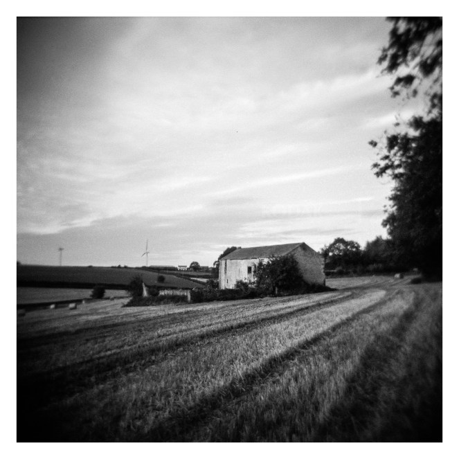 FILM - Farmed around