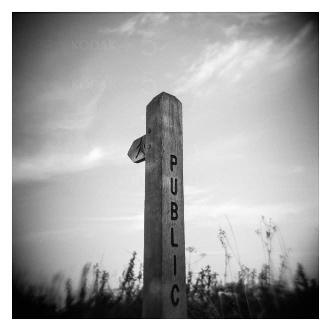 FILM - Public