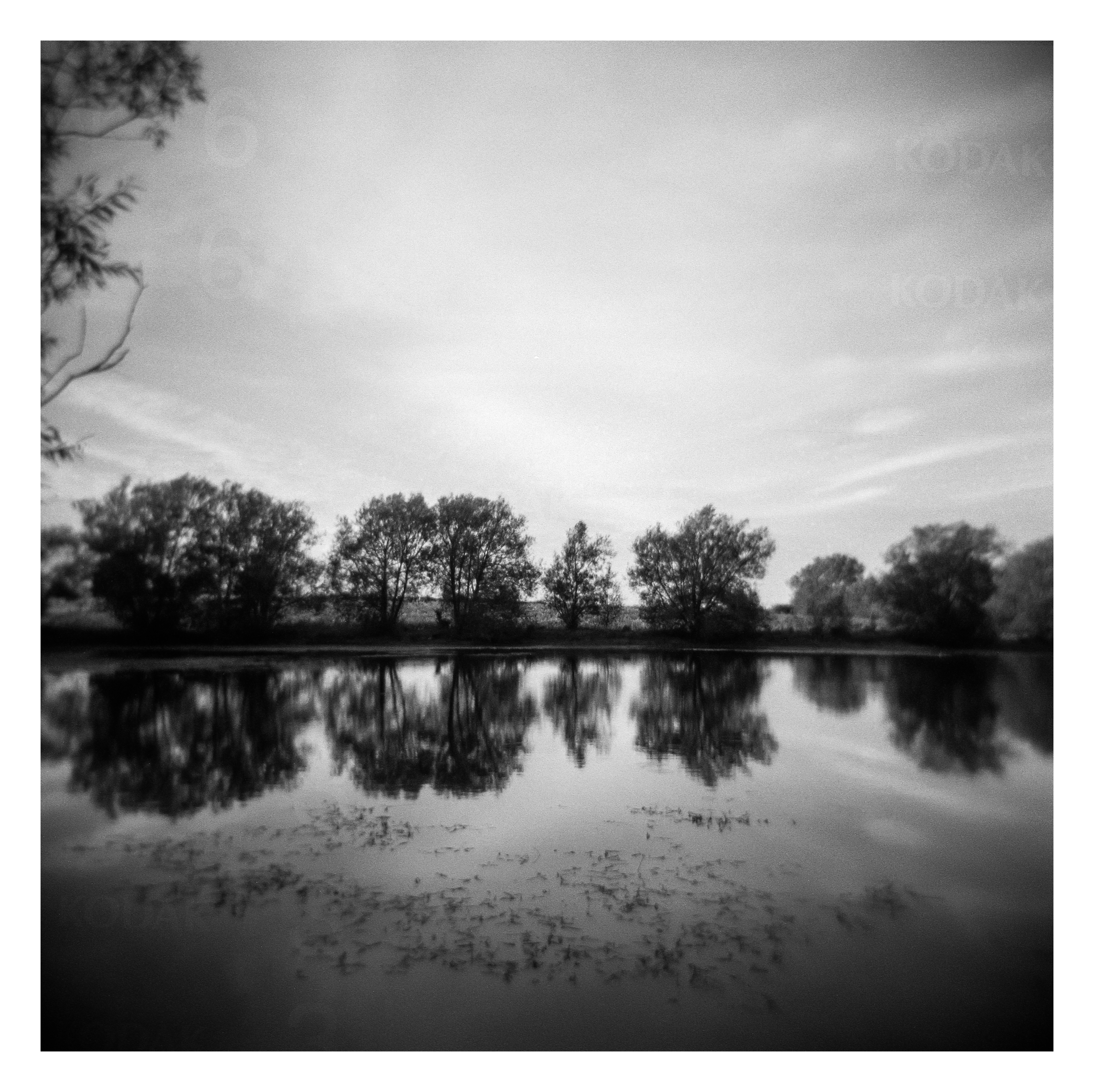 FILM - Reflections through a plastic lens