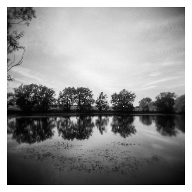 FILM - Reflections through a plastic lens